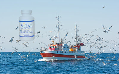 Fish Oil 700 – hälsosamt i ett absolut kvalitetsperspektiv
